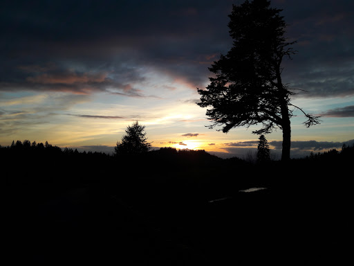 State Park «Willamette Stone State Heritage Site», reviews and photos, 253 NW Skyline Blvd, Portland, OR 97210, USA