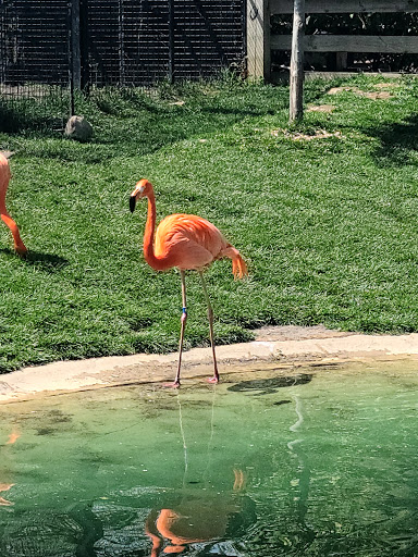 Zoo «Indianapolis Zoo», reviews and photos, 1200 W Washington St, Indianapolis, IN 46222, USA