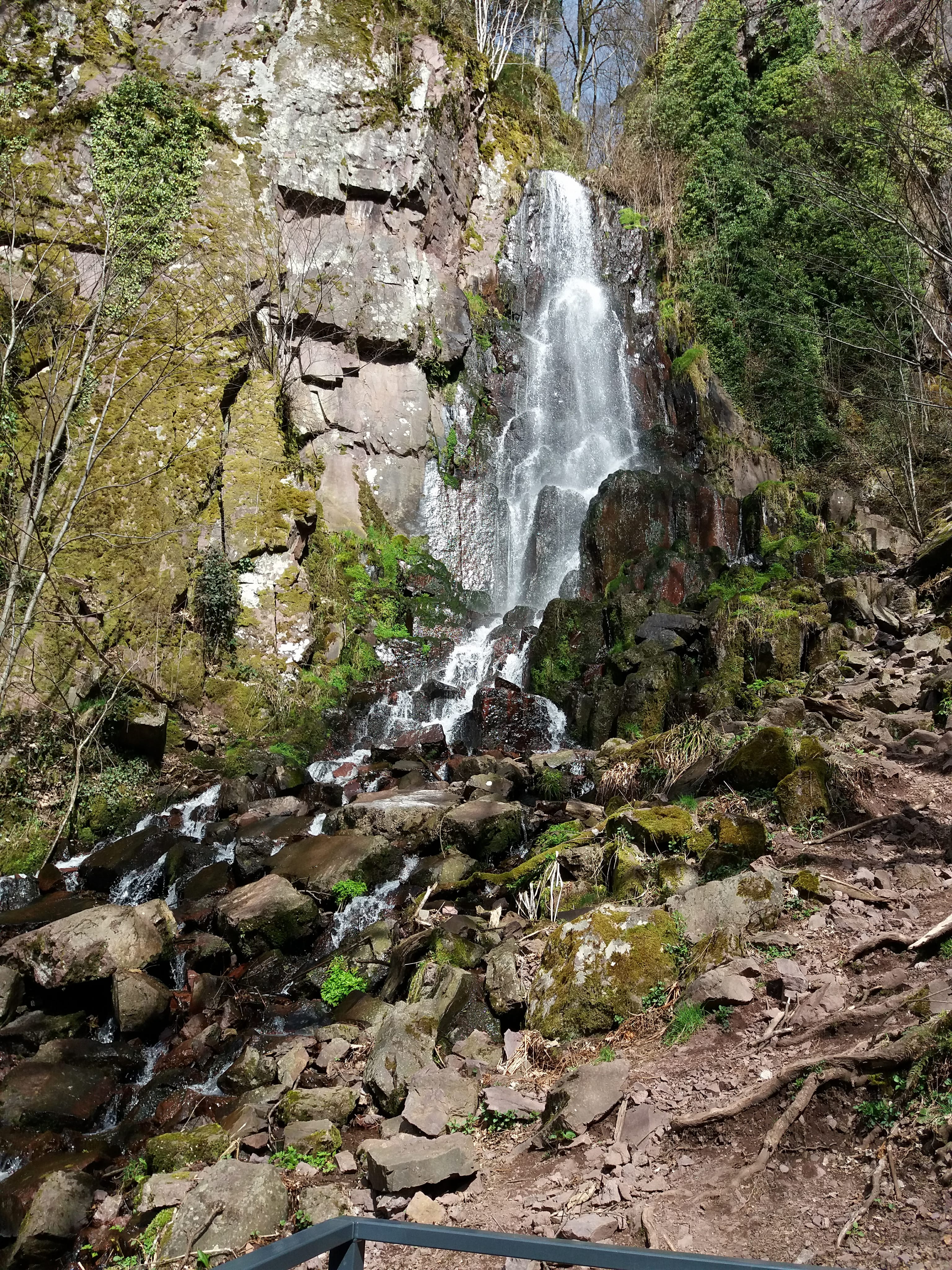 Photo n° 10 de l'avis de yann.a fait le 12/04/2018 à 05:08