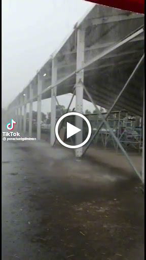 Amusement Park «Gravity Park», reviews and photos, 106 W Marlin St, South Padre Island, TX 78597, USA