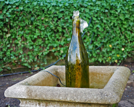 Winery «Pheasant Run Winery & Tasting», reviews and photos, 21690 Main St NE, Aurora, OR 97002, USA