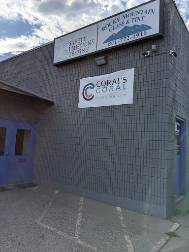 Corals Coral and More