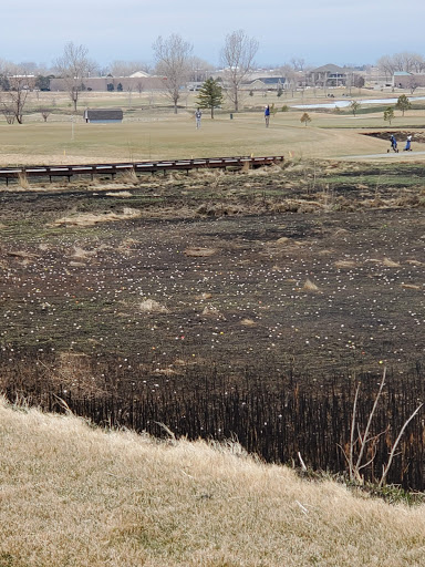 Golf Club «Saddleback Golf Course», reviews and photos, 8631 Frontier St, Firestone, CO 80504, USA