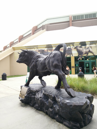 Stadium «USF Sun Dome», reviews and photos, 4202 E Fowler Ave, Tampa, FL 33620, USA