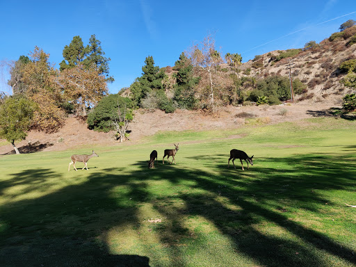 Golf Course «DeBell Golf Club», reviews and photos, 1500 E Walnut Ave, Burbank, CA 91501, USA