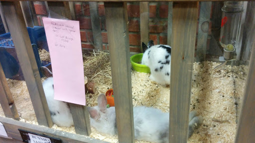 Pet Supply Store «CountryMax - Spencerport», reviews and photos, 4658 W Ridge Rd, Spencerport, NY 14559, USA