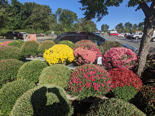 Home Improvement Store «The Home Depot», reviews and photos, 930 Springfield Rd South, Union, NJ 07083, USA