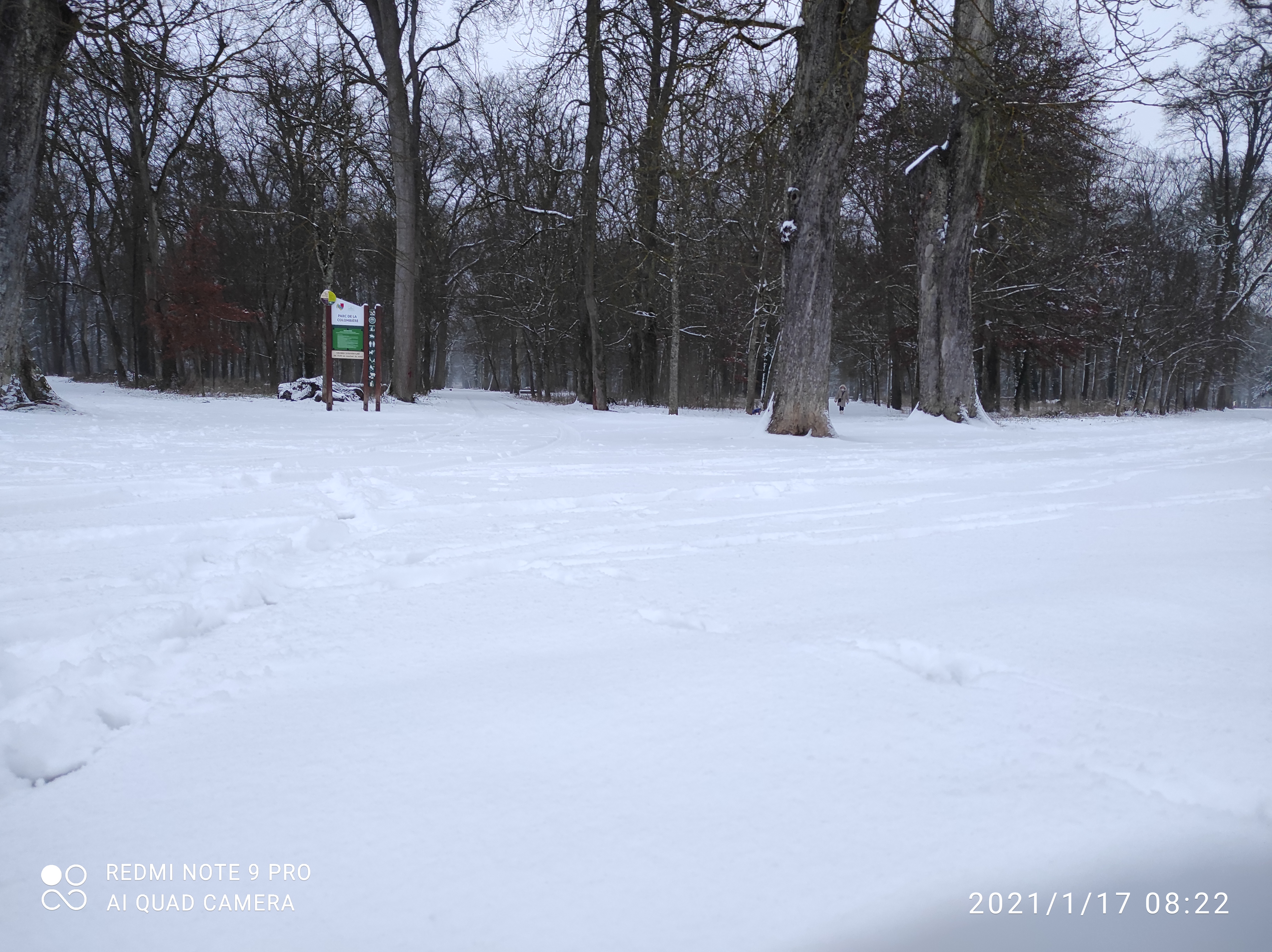 Photo n° 17 de l'avis de AsphaltSTAR. fait le 19/10/2020 à 11:24