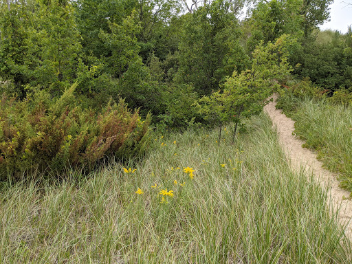 Lighthouse «Little Sable Point Lighthouse», reviews and photos