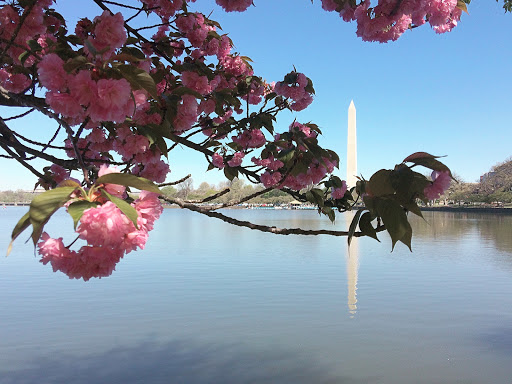 Monument «Washington Monument», reviews and photos, 2 15th St NW, Washington, DC 20024, USA