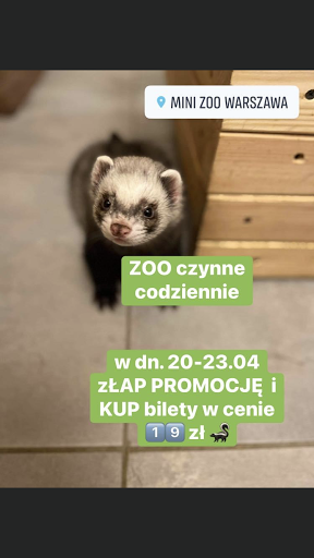 Mini Zoo Warszawa