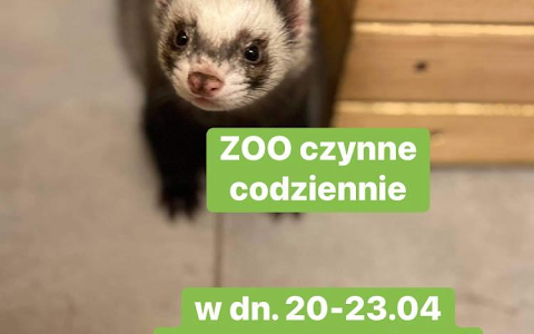 Mini Zoo Warszawa image