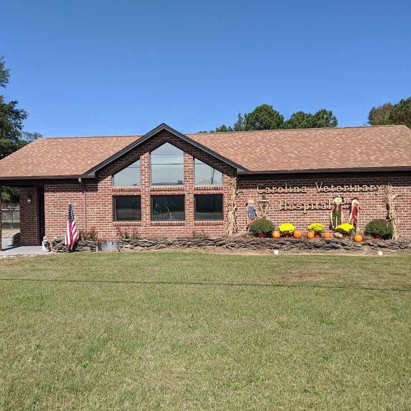 Carolina Veterinary Hospital of Sanford, PC