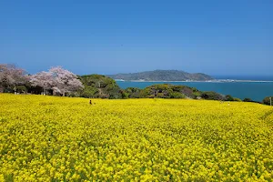 Nokonoshima Island Park image