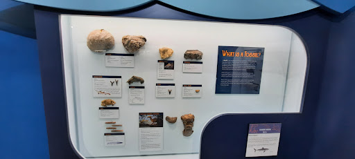 Museum «Museum», reviews and photos, 2142 Southern Dr, Statesboro, GA 30458, USA