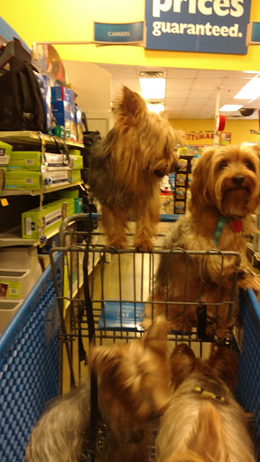 Pet Supply Store «PetSmart», reviews and photos, 380 S State Rd 434, Altamonte Springs, FL 32714, USA