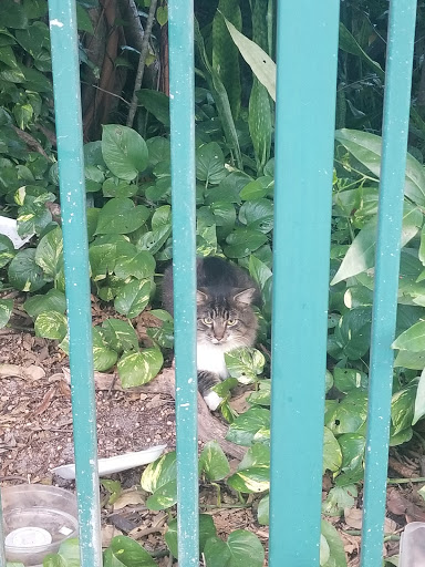 Park «Sewell Park», reviews and photos, 1801 NW S River Dr, Miami, FL 33125, USA