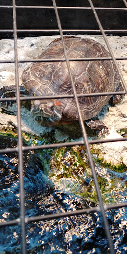 Pet Supply Store «Petco», reviews and photos, 3434 Court St, Pekin, IL 61554, USA