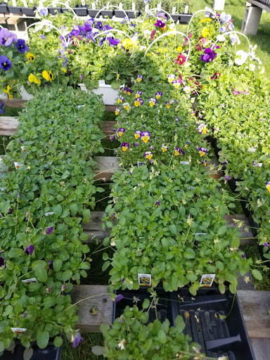 Florist «Lyndhurst Florist», reviews and photos, 5268 Mayfield Rd, Lyndhurst, OH 44124, USA