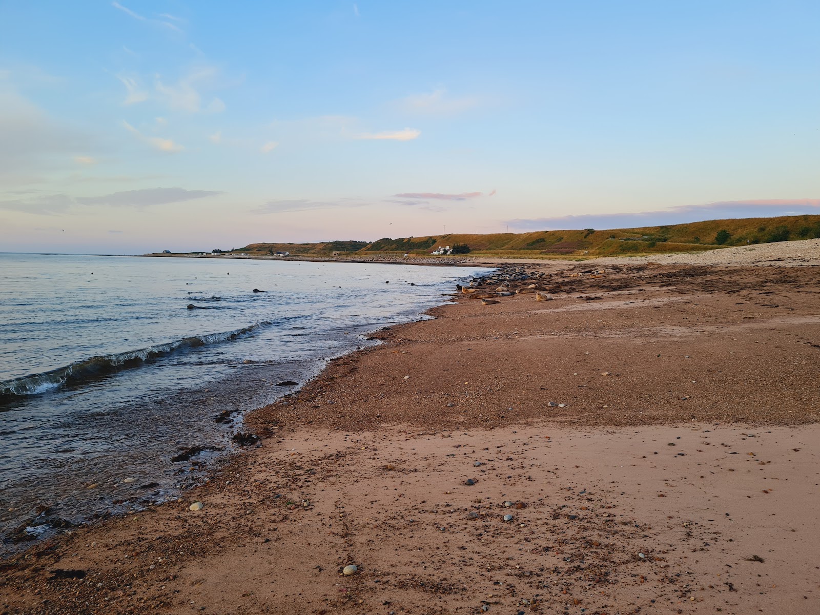 Portgordon Beach photo #9