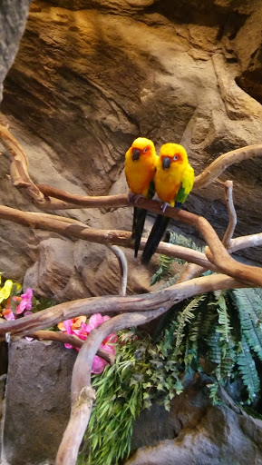 Craft Store «Michaels», reviews and photos, 100-B Independent Way, Brewster, NY 10509, USA