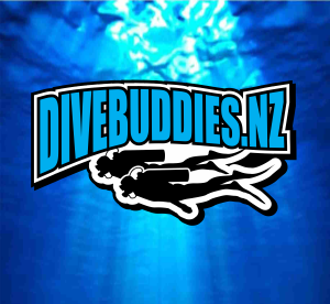 Reviews of Divebuddies.nz in Kaiapoi - Association