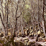 Photo n°3 de l'avis de Ru.. fait le 13/08/2023 à 05:25 sur le  La Vignaredda Residenza di Charme à Aggius