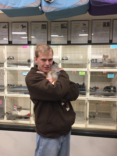 Pet Supply Store «Your Pet Experts», reviews and photos, 1665 State Hill Rd #490, Wyomissing, PA 19610, USA