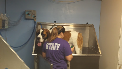 Pet Groomer «Premier Loving Care», reviews and photos, 48 E Washington St, Shelbyville, IN 46176, USA