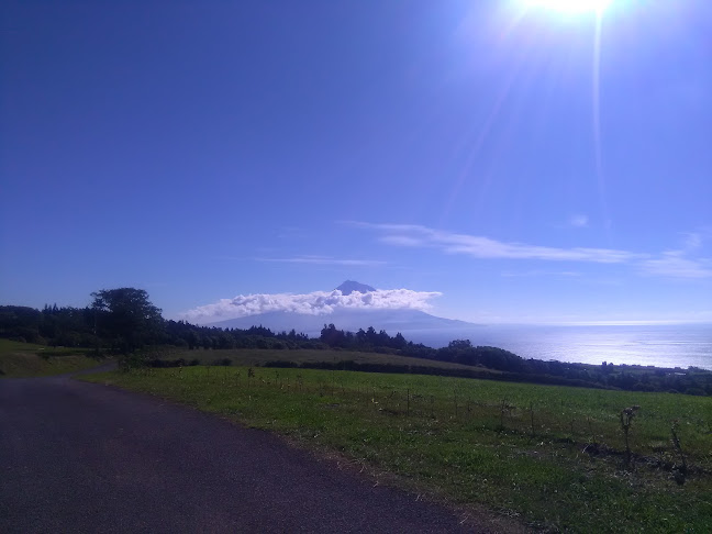 Campo dos Sabores Horário de abertura