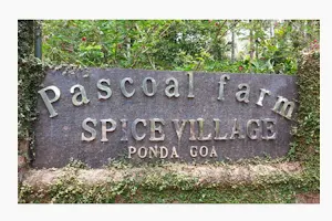 Pascoal Spice Village image
