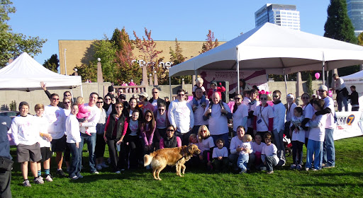 Insulation Contractor «Clean Crawls - Insulation Install & Removal Tacoma», reviews and photos