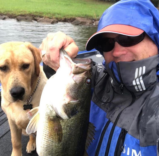 Pet Supply Store «Saluda River Pet Food And Supply Center», reviews and photos, 1600 Augusta St, Greenville, SC 29605, USA