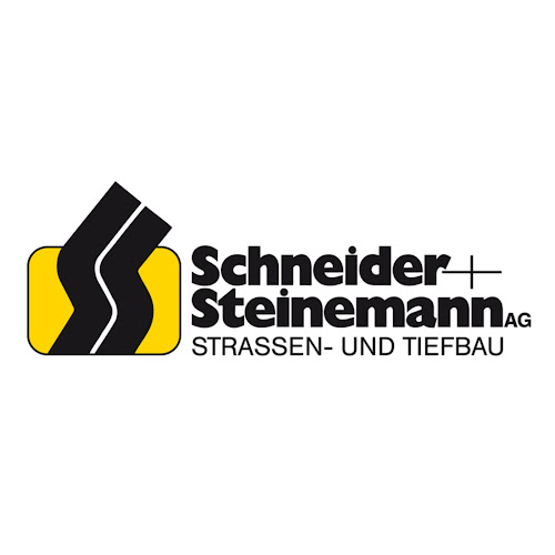 Schneider und Steinemann AG - Bauunternehmen