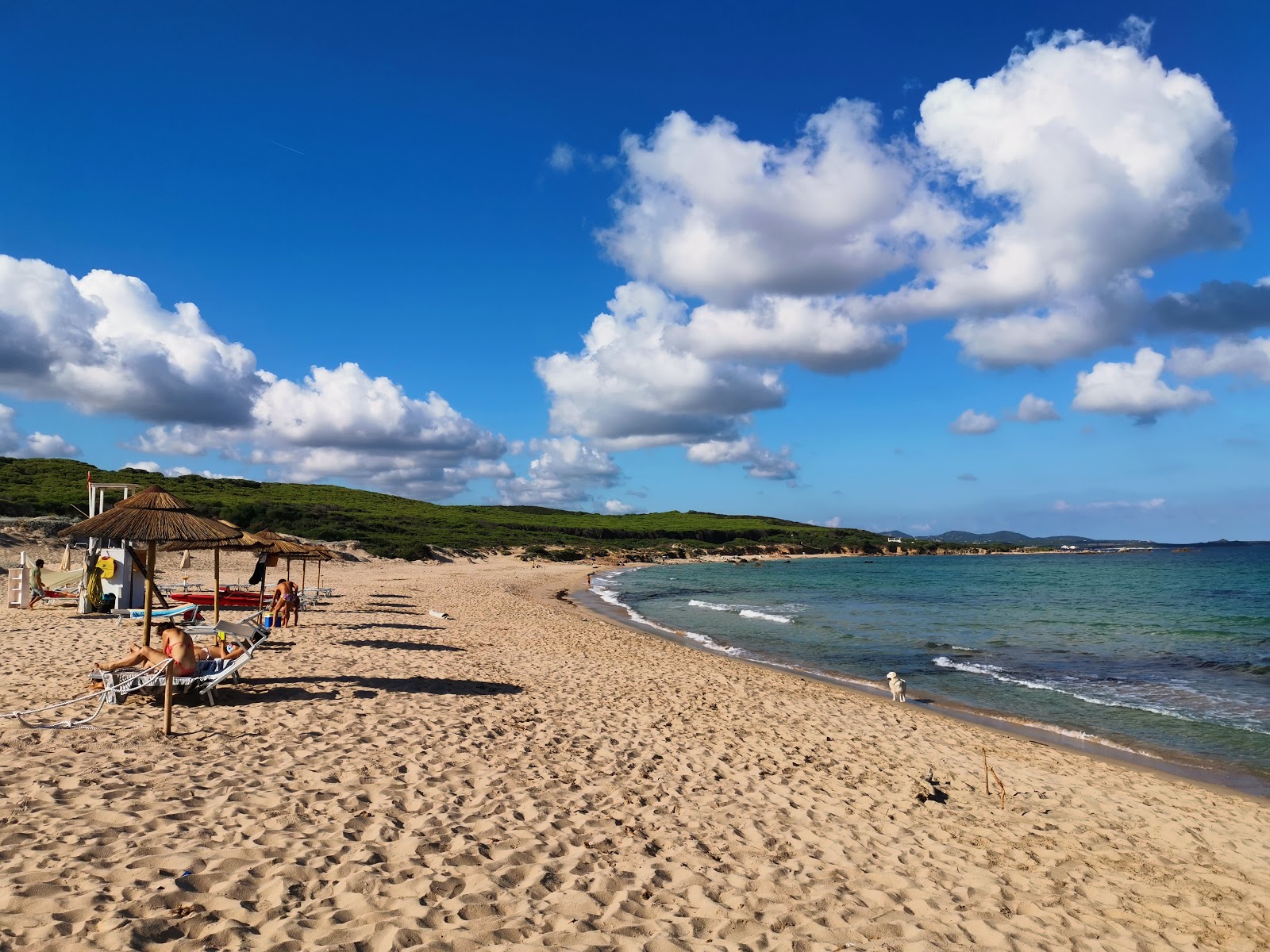 Foto de Lido Dog Beach - lugar popular entre os apreciadores de relaxamento