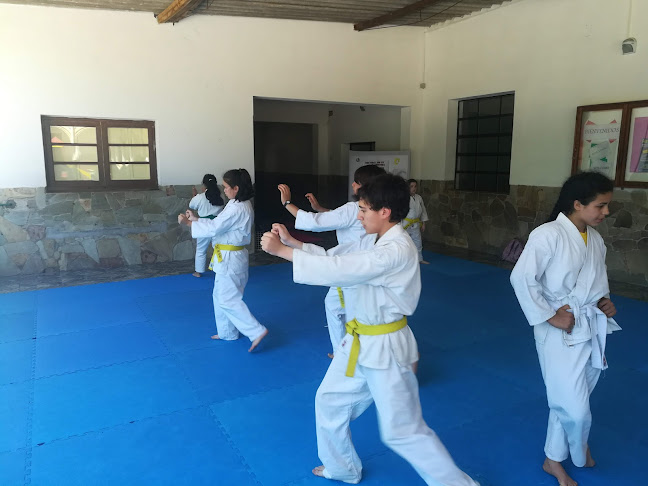 Opiniones de Dojo Bushido (Escuela de Karate) en Durazno - Escuela