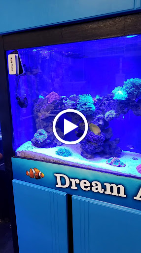 Aquarium «Dream Aquarium 1», reviews and photos, 6900 W 32nd Ave #9, Hialeah, FL 33018, USA