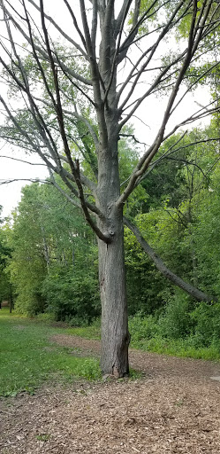 Golf Course «Dretzka Park Golf Course», reviews and photos, 12020 W Bradley Rd, Milwaukee, WI 53224, USA