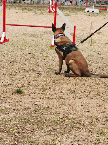 Club Canin du Revest - Toulon