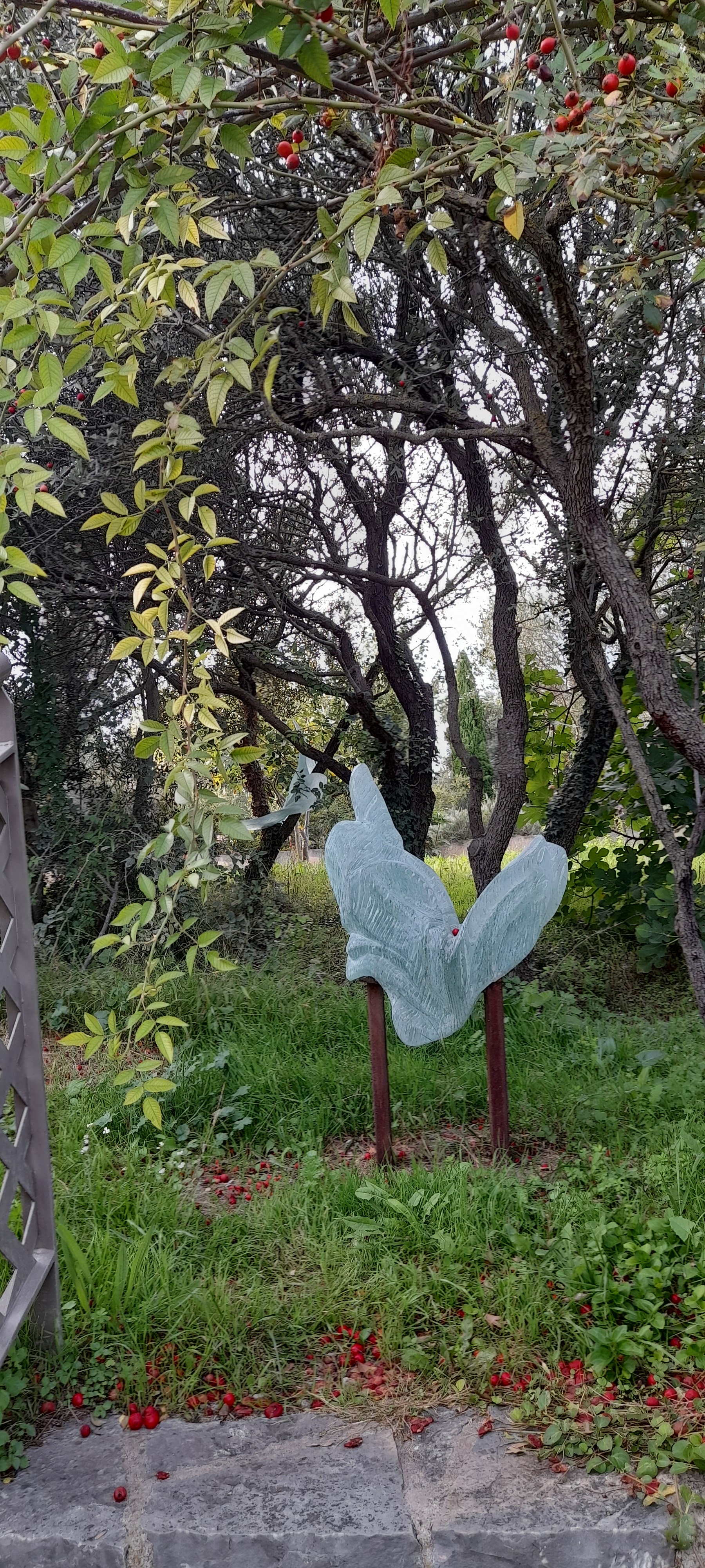 Photo n° 8 de l'avis de Jos.a fait le 24/10/2020 à 21:59