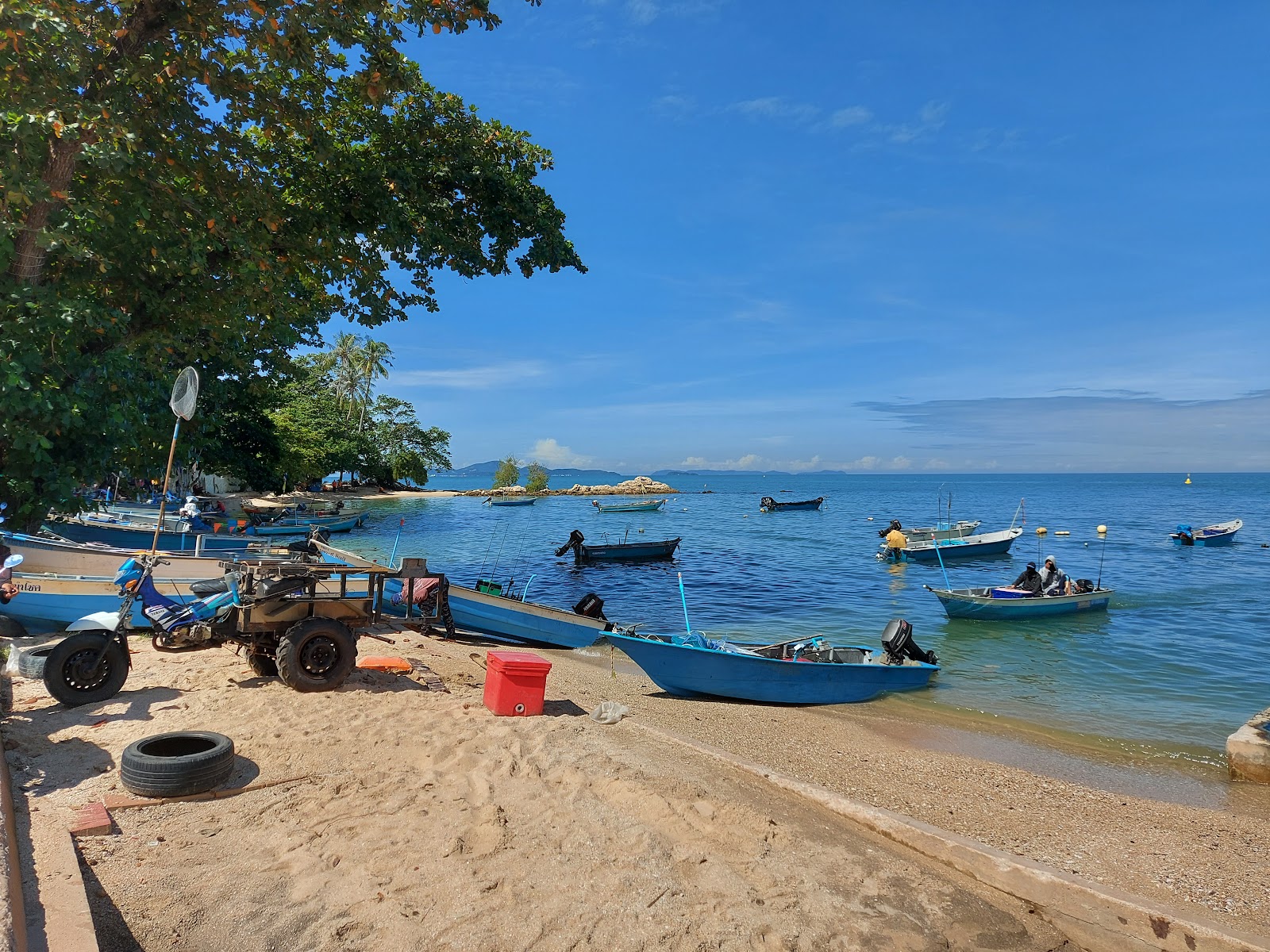 Foto de Wongamat beach - lugar popular entre os apreciadores de relaxamento
