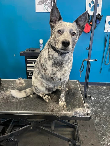 Fuzzie Butts Natural Pet & Spa