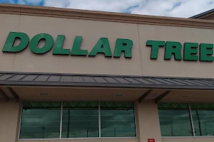 Dollar Tree image