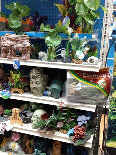 Pet Supply Store «Pet Supermarket», reviews and photos, 1800 W 68th St #140, Hialeah, FL 33014, USA