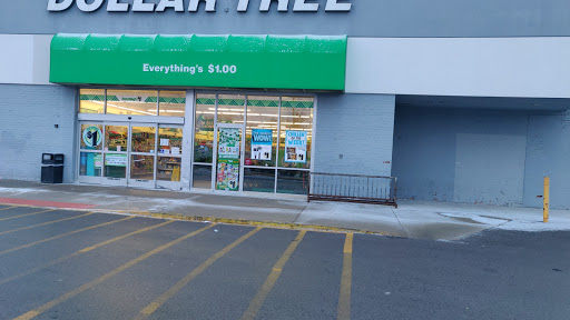 Dollar Store «Dollar Tree», reviews and photos, 1031 E Oakton St, Des Plaines, IL 60018, USA