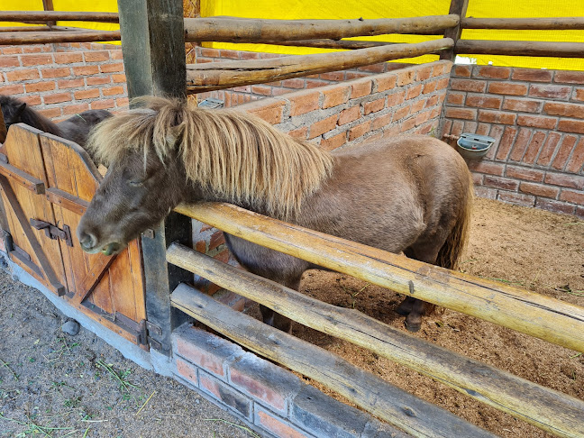 ANIMALPARK PARQUE TEMÁTICO - Baños de Agua Santa