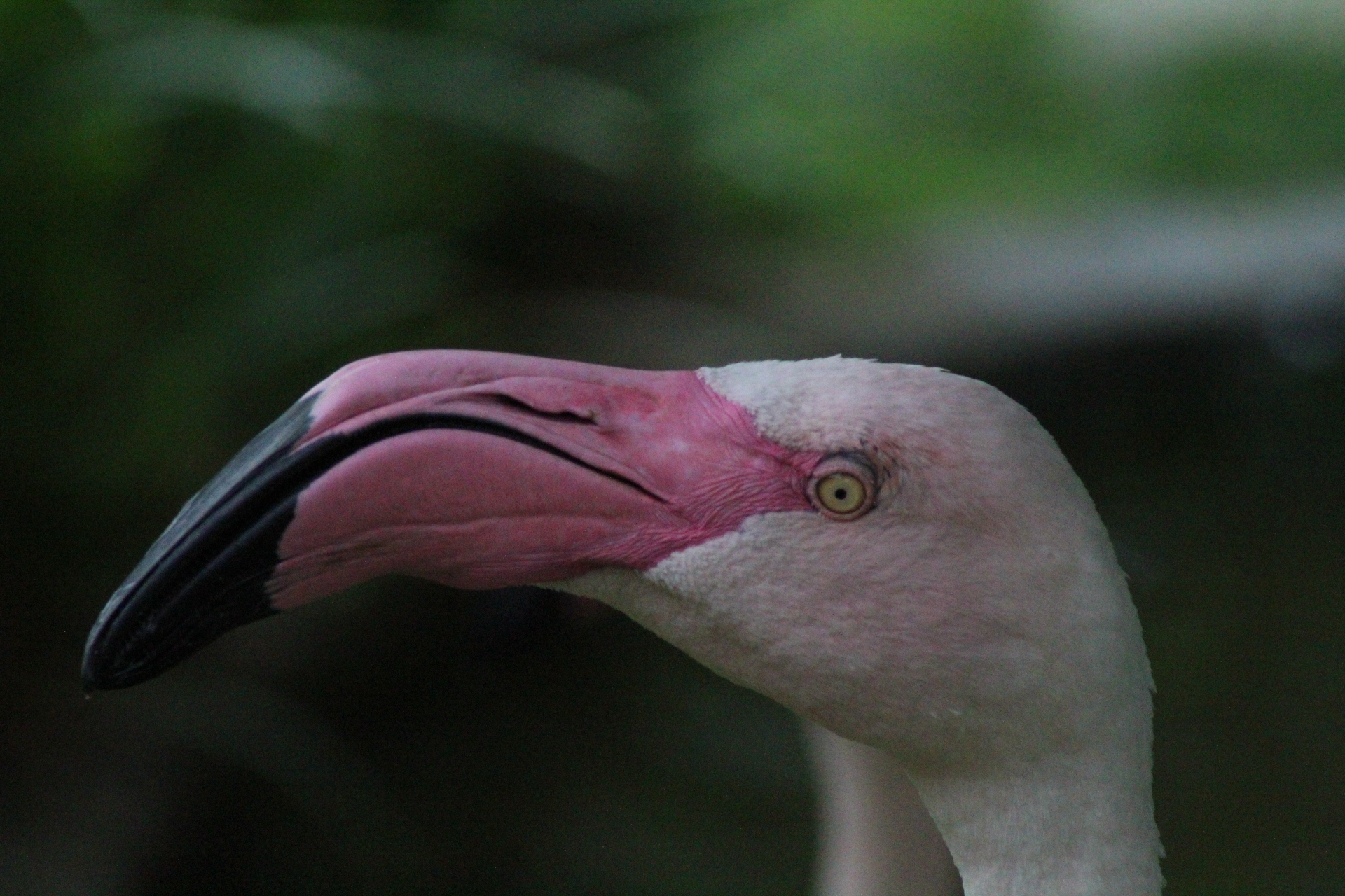 Photo n° 39 de l'avis de David.i fait le 18/11/2019 à 20:29