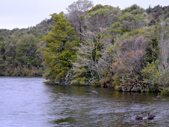 Te Waikoropupu Springs Scenic Reserve