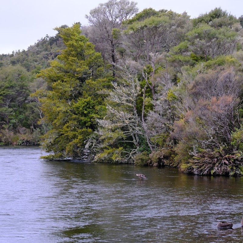 Te Waikoropupu Springs Scenic Reserve