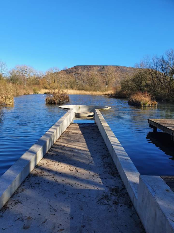 Photo n° 4 de l'avis de DELBARRE.R fait le 28/02/2022 à 15:53